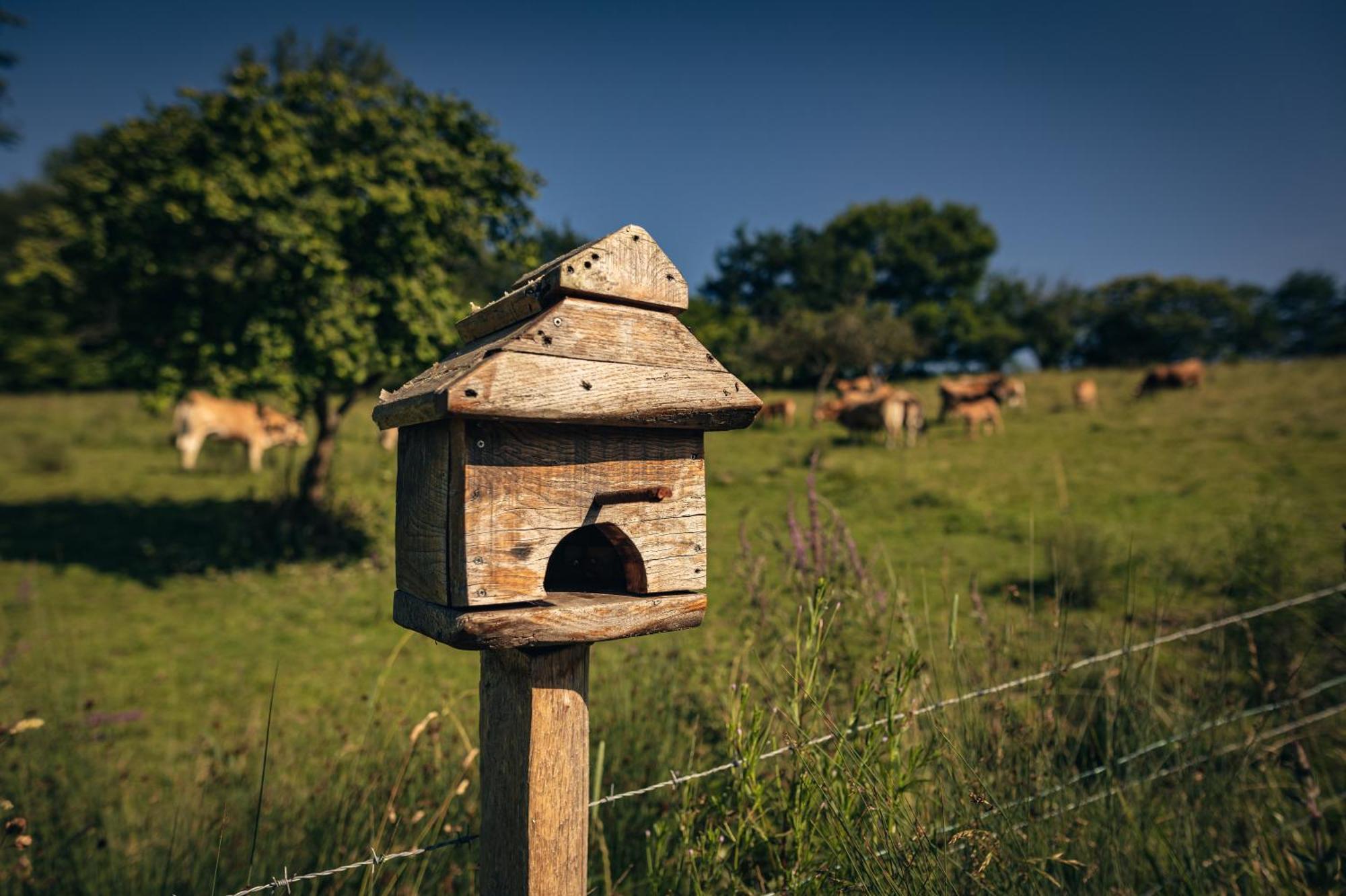 Finca La Naguada Casa Rural En Asturias Beloncio Bagian luar foto