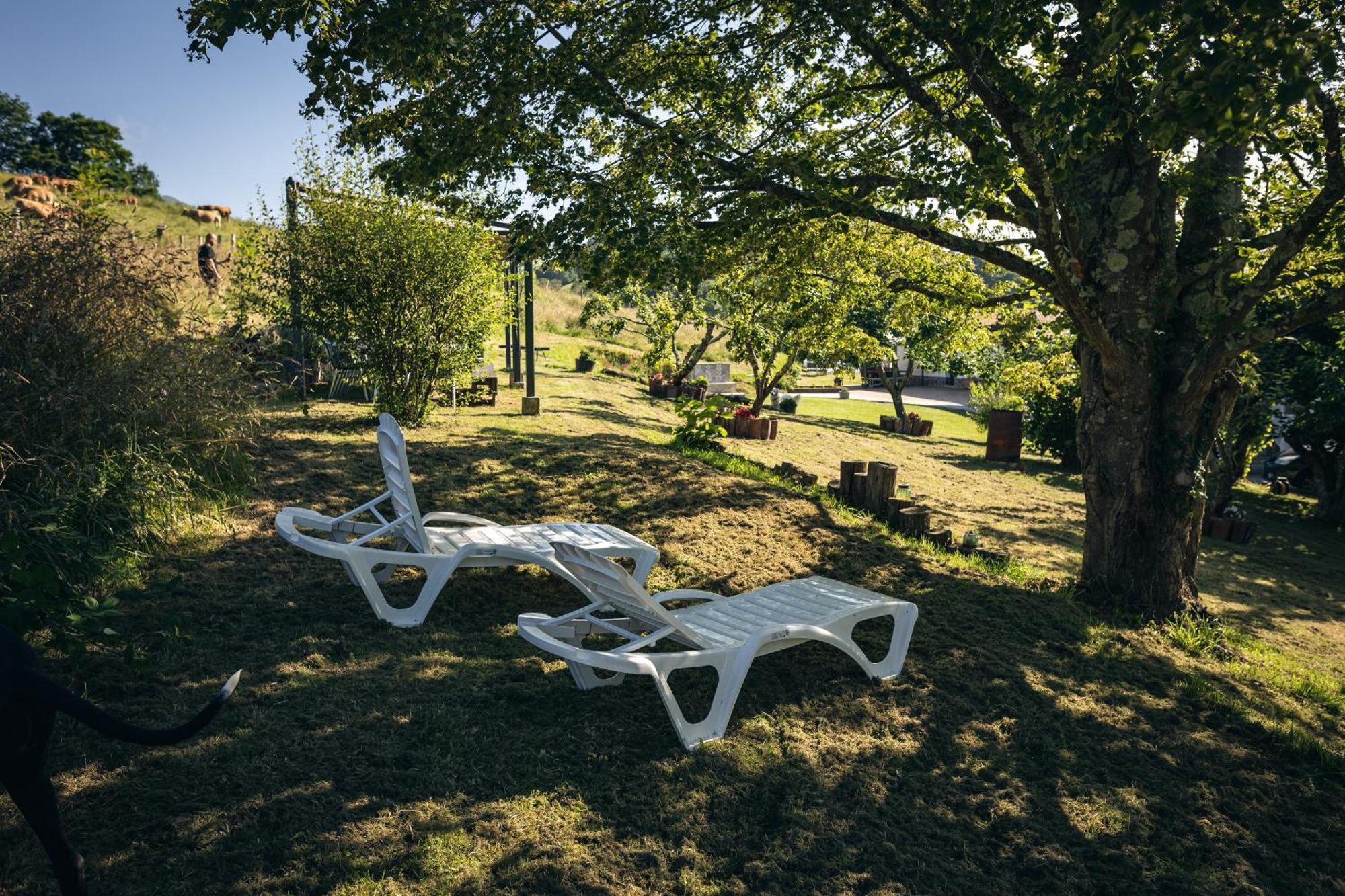 Finca La Naguada Casa Rural En Asturias Beloncio Bagian luar foto