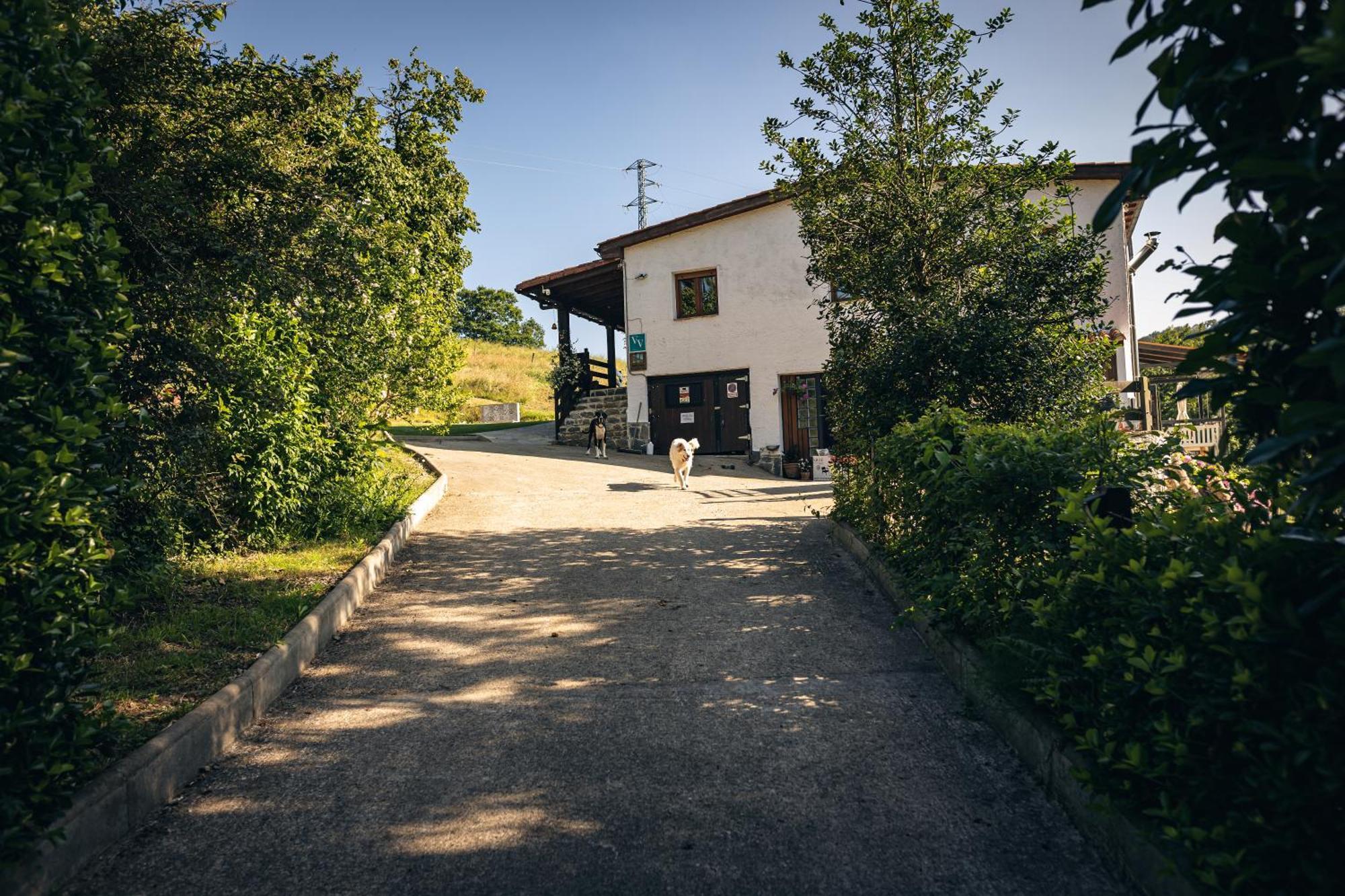 Finca La Naguada Casa Rural En Asturias Beloncio Bagian luar foto