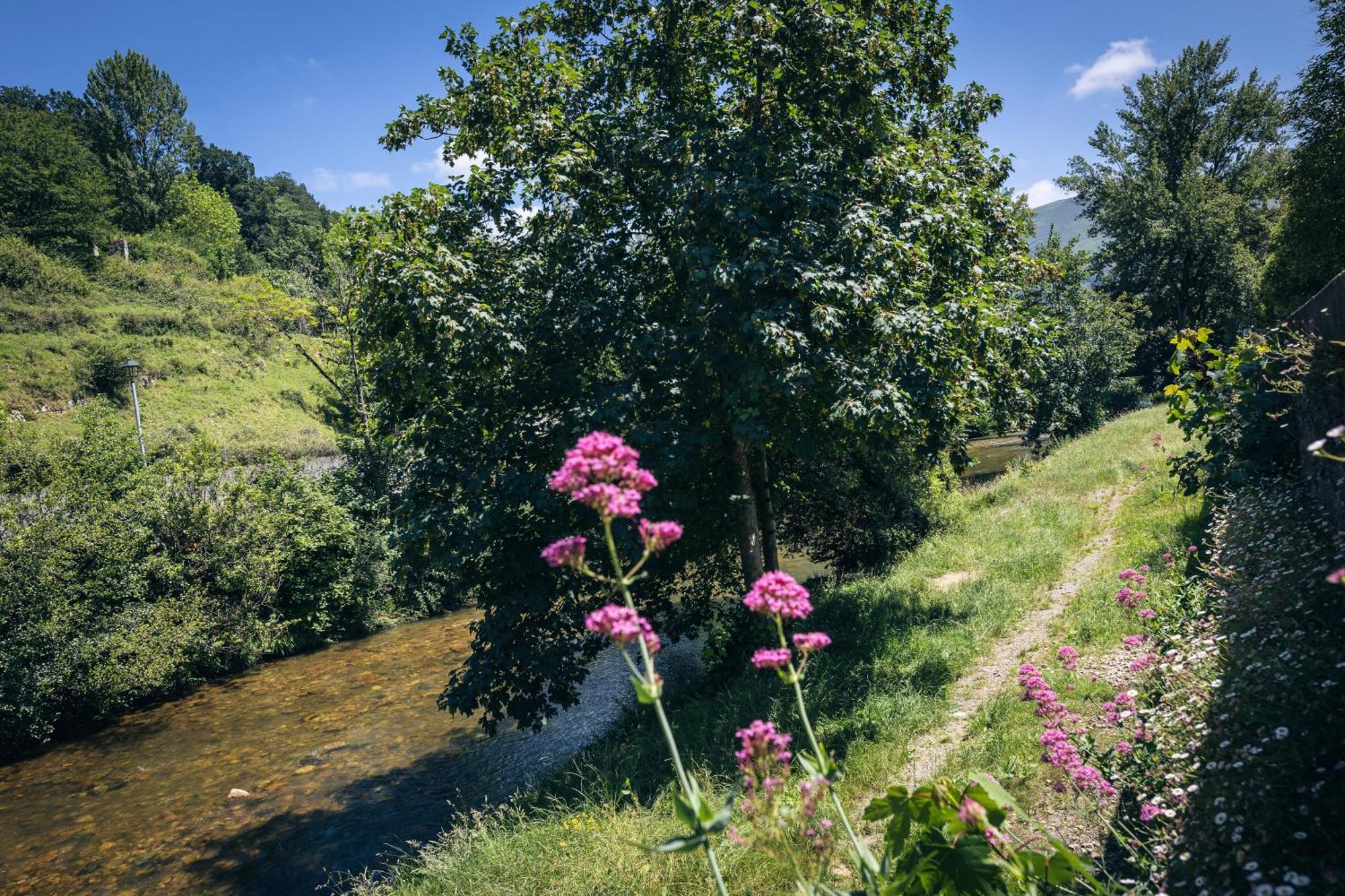 Finca La Naguada Casa Rural En Asturias Beloncio Bagian luar foto