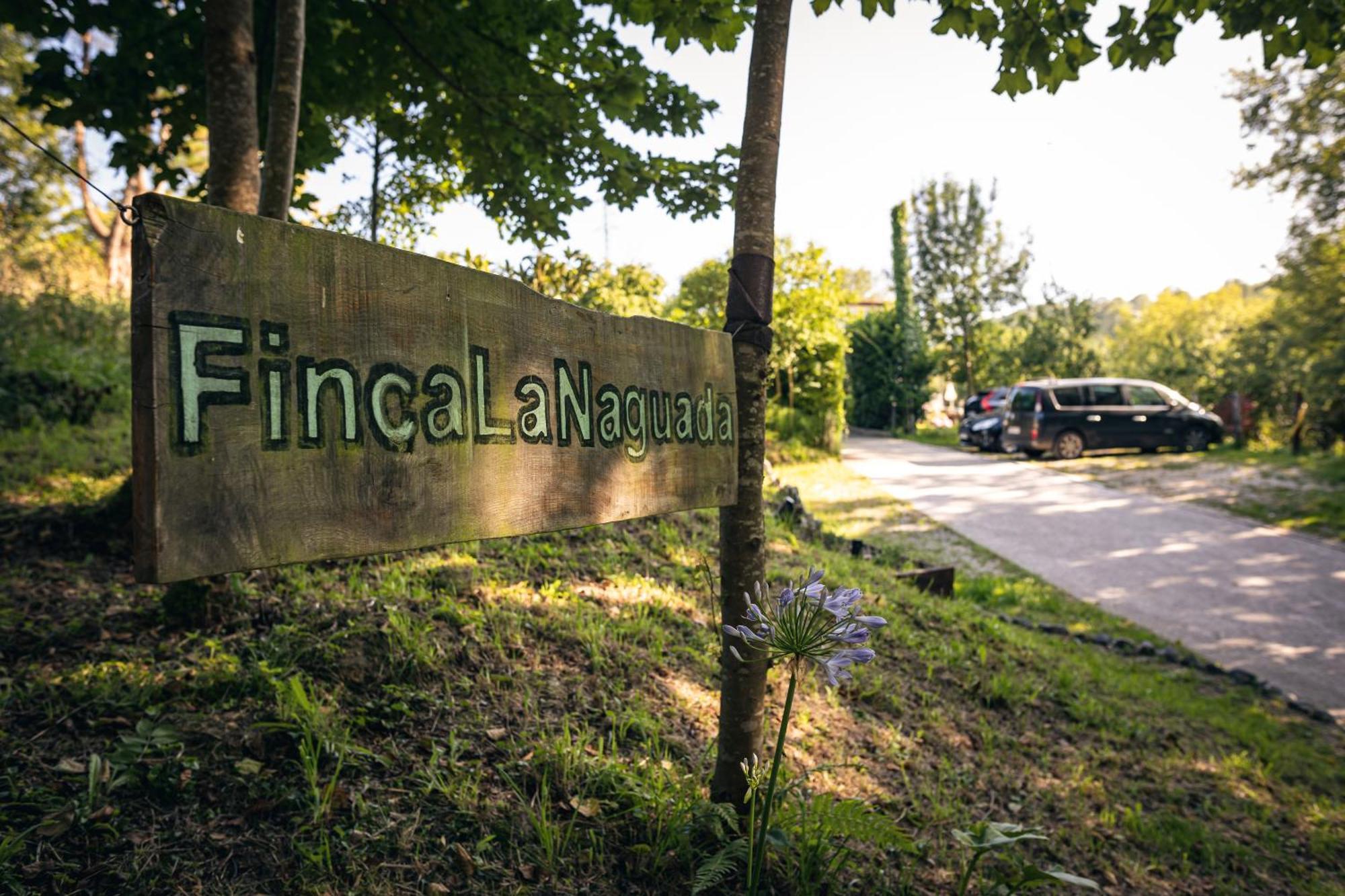 Finca La Naguada Casa Rural En Asturias Beloncio Bagian luar foto